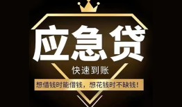 成都29个人小额贷款-成都29信用贷款哪家好-成都29私借空放免费上门