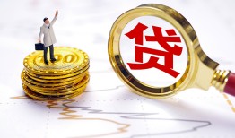 成都29民间大额借贷-成都29民间私人借贷-成都29小额短借