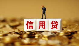 成都29私人放款联系方式-成都29私借上门放款-成都29私人借钱短借微信号