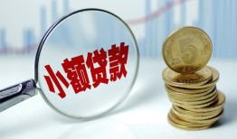 成都29哪里可以小额贷款-成都29哪里有民间借贷-成都29民间短期私借借款