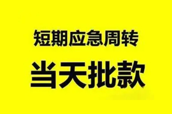 成都29小额贷款公司